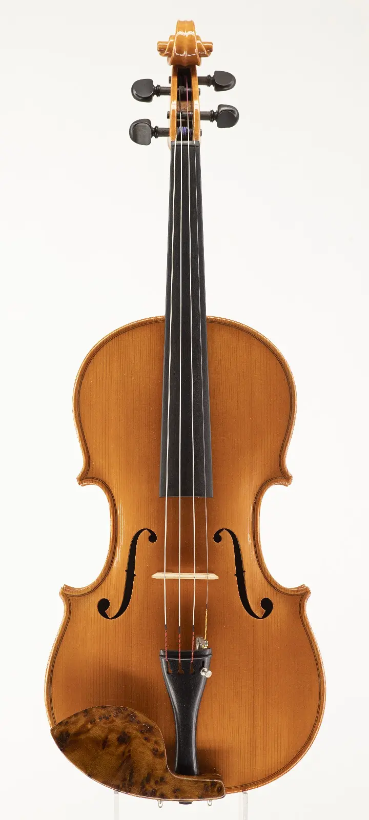 Viola - 1995
